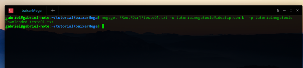 Mega.nz via linha de comando